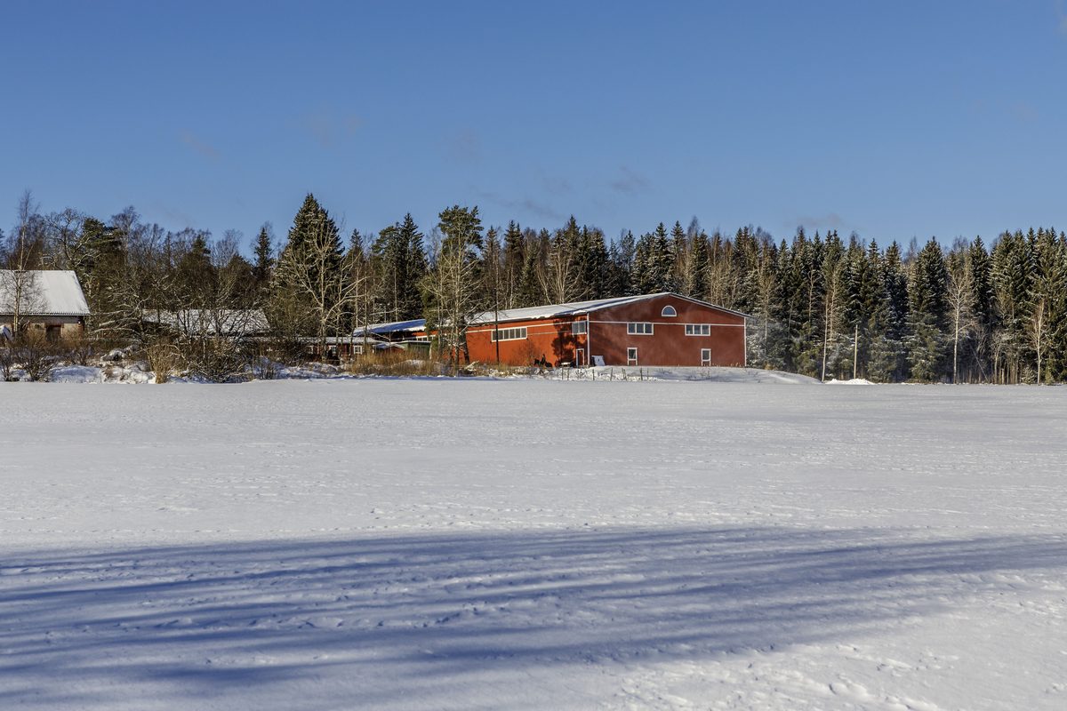 Karlvik Ranch outdoor riding facilities