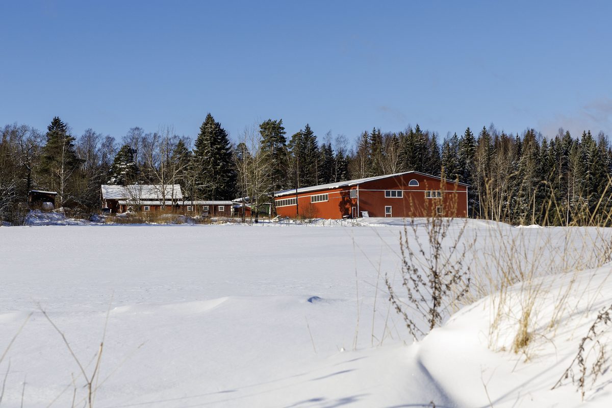 Karlvik Ranch grounds and surroundings