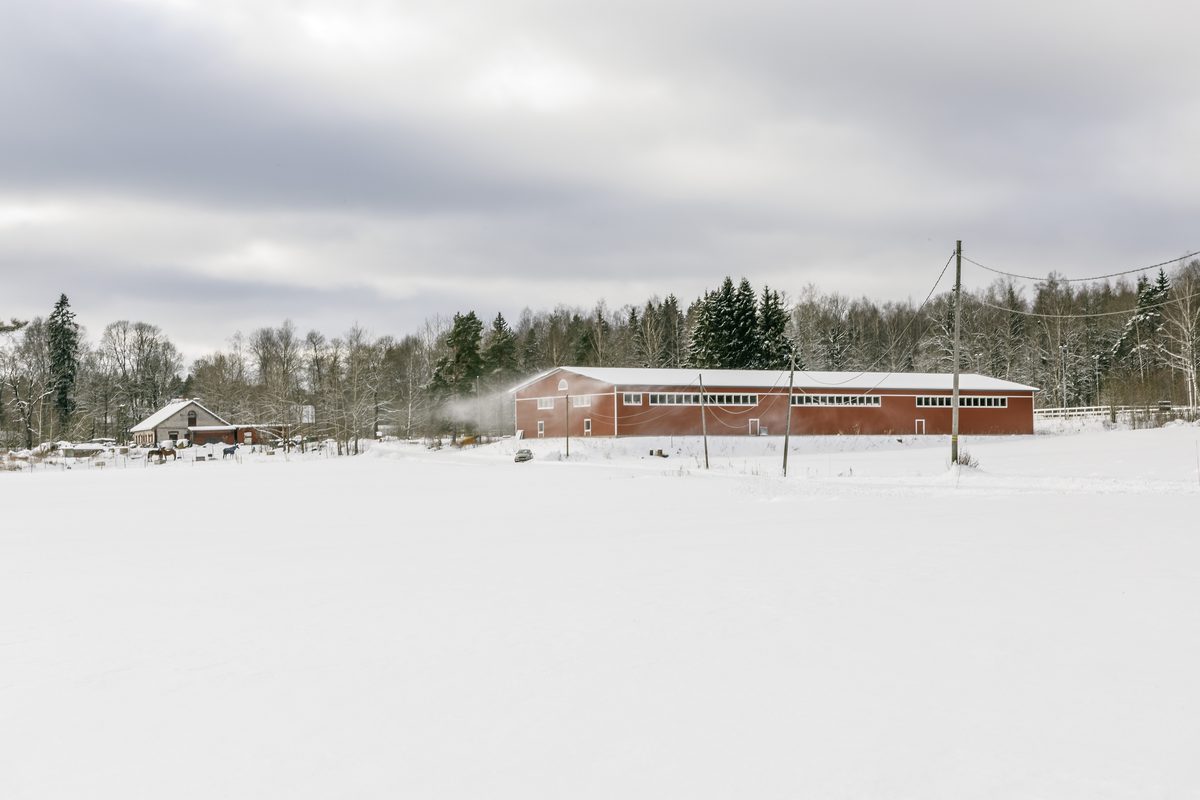 Karlvik Ranch stable interior